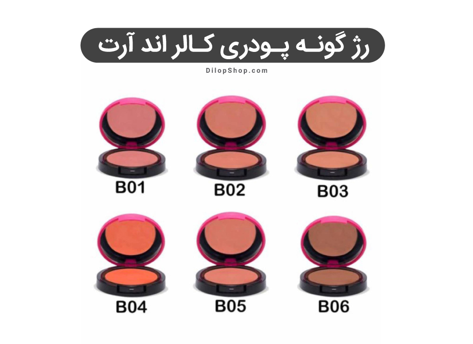 رنگ بندی رژ گونه پودری کالر اند آرت کالیستا 